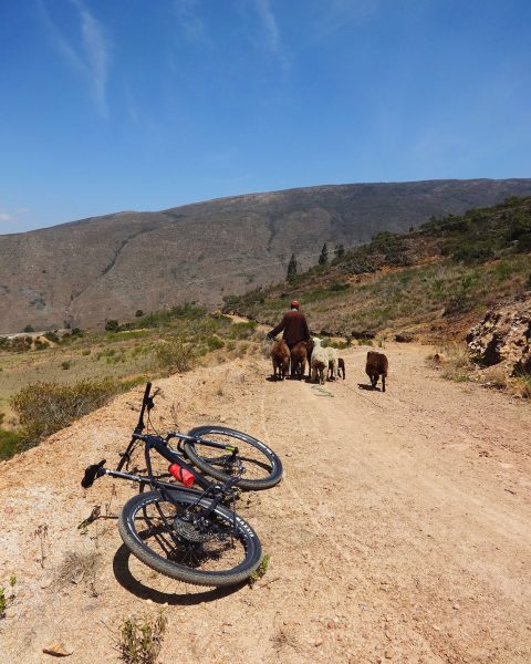 home-driftlands-bicicleta-1